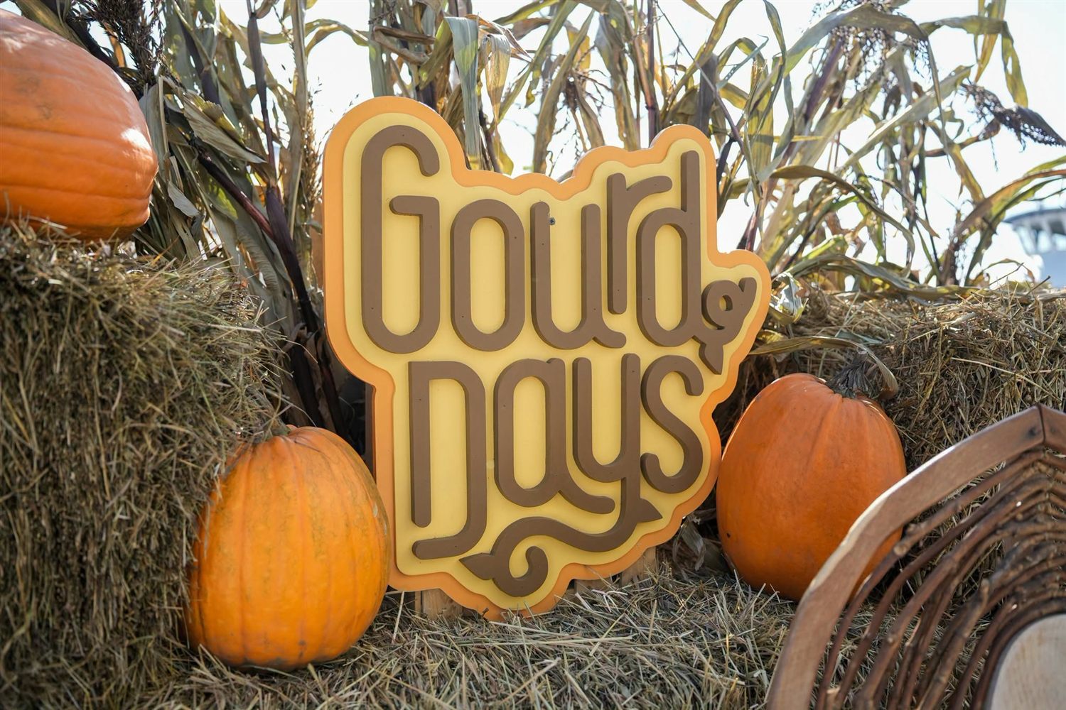 The Gourd Days sign among pumpkins and hay bales