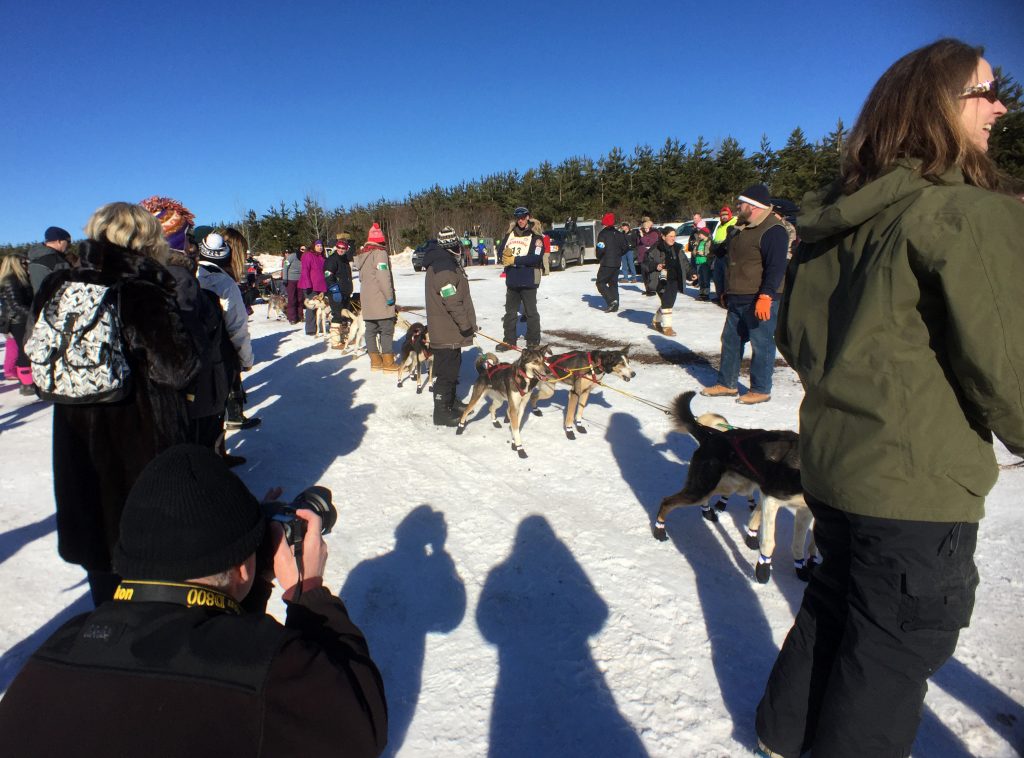 beargrease_mushers_photography_minnesota_outdoor_Winter_event