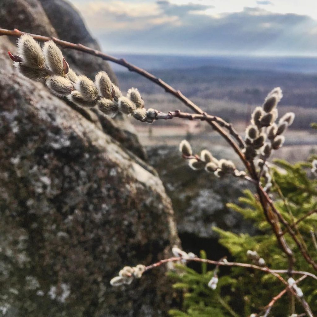 elys-peak-hike-outdoors-mn-jon-schelander