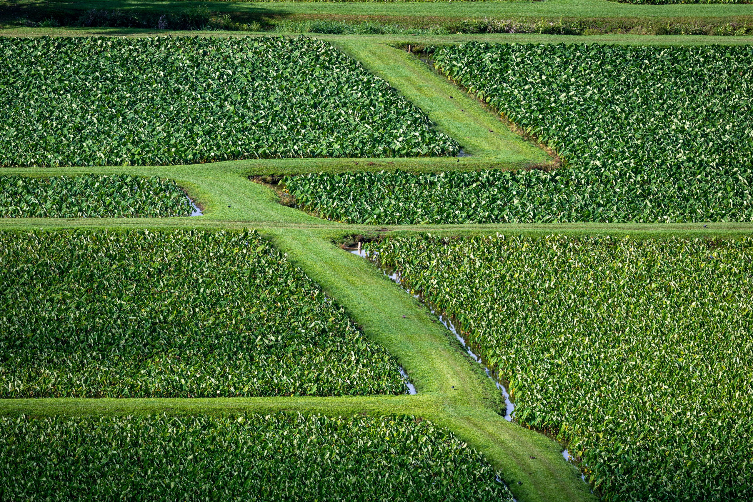 Duluth Restaurants That Source Heavily from Nearby Farms